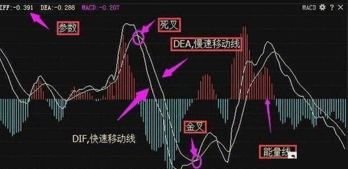 0轴上DIF死叉DEA15日内DIF开始走平或者绿柱缩短的选股公式！ 谢谢