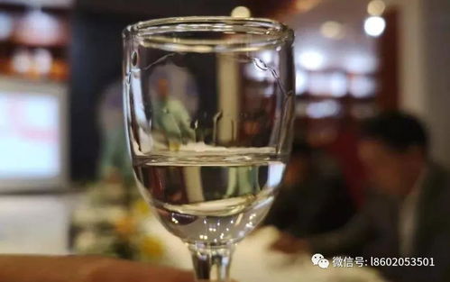 趣味百科 喝老酒不易上头,这是什么原因