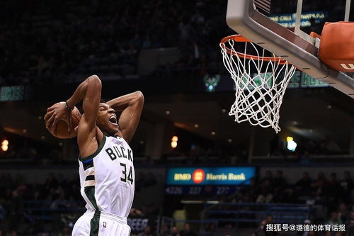 字母哥连庄MVP 半场19 12 篮板数队史第二 NBA最大合同他来了