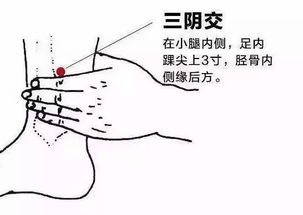 人生四个时期各具特点,艾灸这些穴位保健康