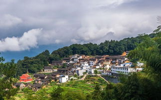 英山半岭 风水林变风景林