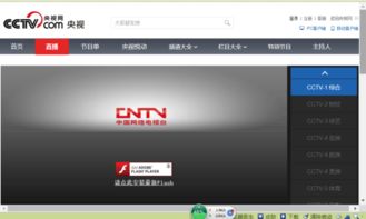 win10看cctv要求安装flash