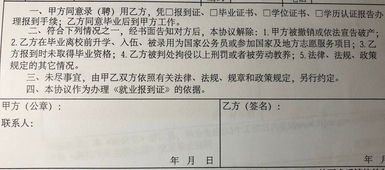 大学生毕业后的就业选择问题的论文