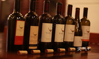 葡萄酒分类和基本知识 葡萄酒基本知识