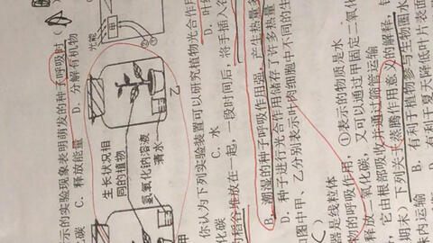 初一生物练习册的狗头鸡