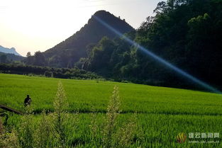 晨忙开峰铲沟 