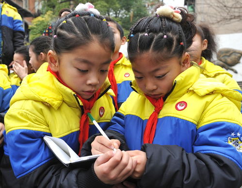 武汉一小学10对双胞胎在同一班 