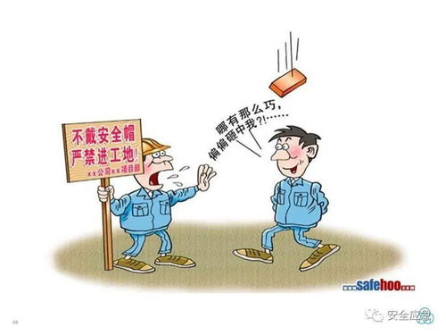 反 三违 训练和 四不伤害