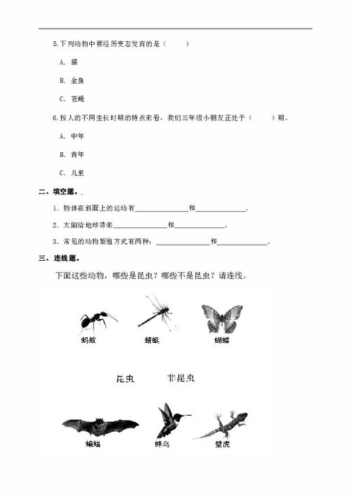 山东省滨州市科学三年级第二学期期末学业水平监测 2019 2020学年 教科版,含答案 