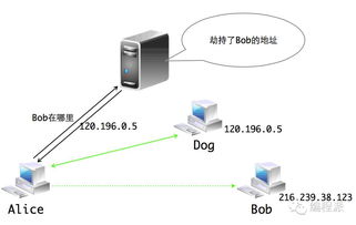 dns解析失败怎么解决(dns解析失败怎么解决 爱快)