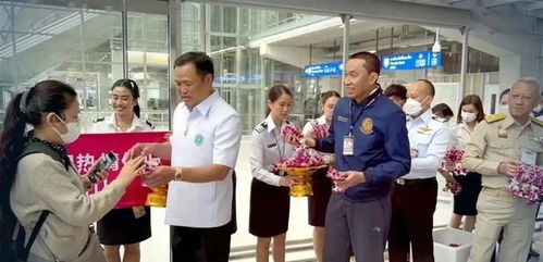 打脸日韩,总理接机 没有中国游客的苦果,泰国这三年已经尝够了