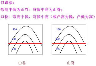 山股是什么意思？