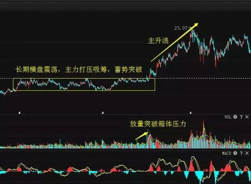 怎样才可以选到快要拉升的股票？比较准确的！