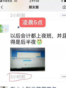 税务局每月公布的报税期在哪查