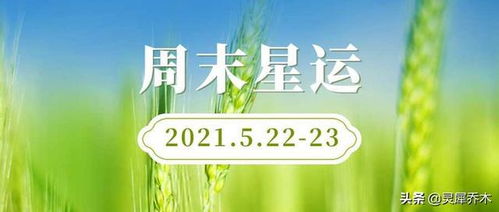 无为便好的周末 12星座周末双日运 2021.5.22 23