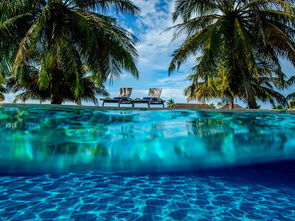 马尔代夫洲际酒店网上预订房间有哪些优惠（马尔代夫酒店预售）