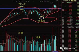 一半股票软件那种打出来600xxx然后下面就可以显示一个股票名称和代码的功能能不能在VB控件实习？