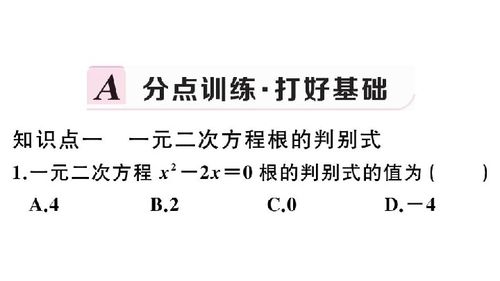 21.2.2 公式法 习题课件 