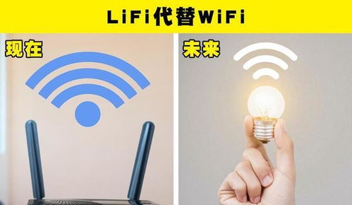 wifi卡冷知识(wifi卡是啥)