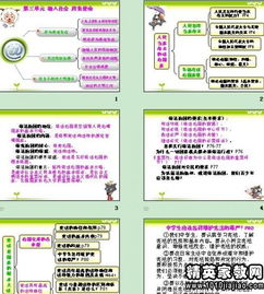 初中政治说课10分钟范例完整版