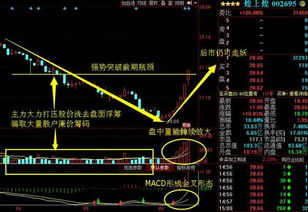 一支股票机构介入3亿，后市怎样？