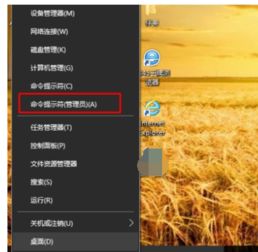 如何放宽win10的局域网