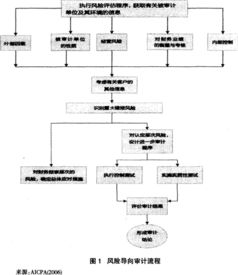 风险导向审计模式的应用研究毕业论文