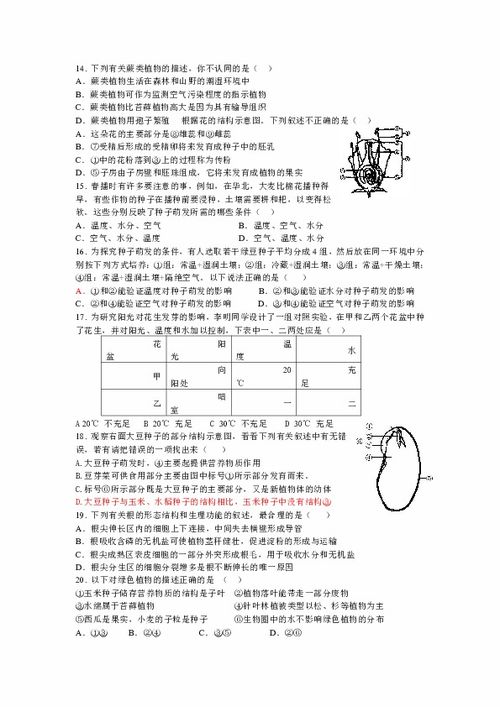 被子植物生活史框图 搜狗图片搜索