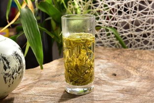 安吉白茶为什么是属于绿茶类 
