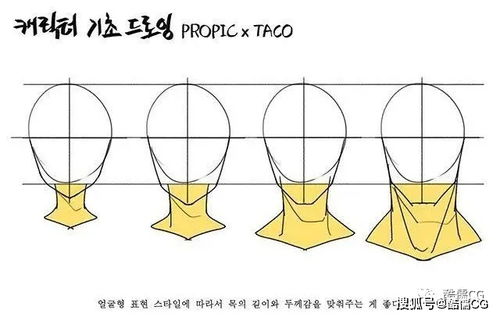 来自韩国画师taco的人体结构绘制技巧分享