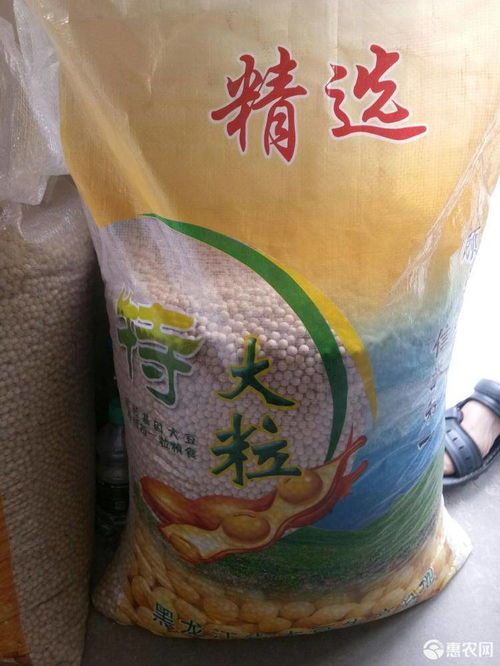 黄大豆 产地直销东北中粒,大粒商品黄豆,