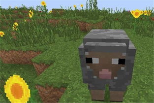 我的世界Minecraft 生存模式下玩家们离开这3种生物必死无疑 