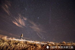 好消息 12月15日凌晨,2019年 流星雨之王 登顶,可直播观看