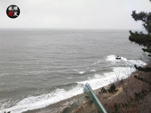 今日旅顺丨19岁男孩当着母亲面跳海自杀,疑似患抑郁症 时孩子 