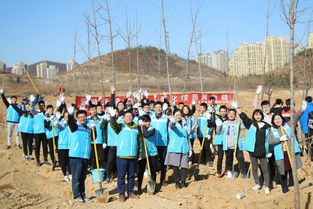 学校团委组织百余名青年学生骨干用劳动为校园添一抹新绿