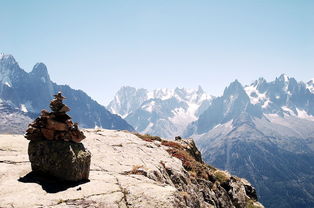 山桃什么满山头——探寻一种独特的自然景观，山,山满,桃山杏