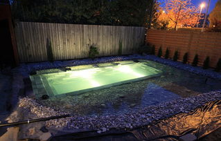 瑞士一家庭花20万将后院改为游泳池