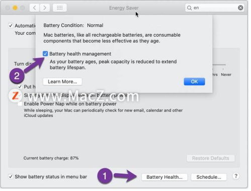 如何关闭 MacBook 上的电池健康管理功能