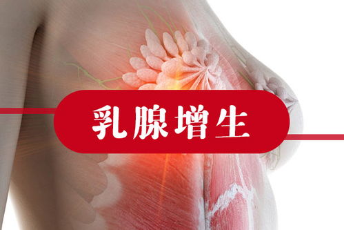 乳腺增生吃什么药最管用 