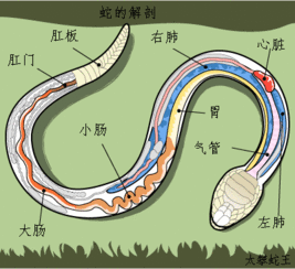 乌鲁木齐市科学技术馆 