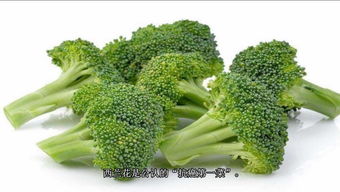 .露露送大礼 哪种蔬菜被称为蔬菜皇冠