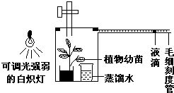 下列有关蛋白质工程的叙述.不正确的是 A.收集蛋白质分子结构的信息.以便分析结构与功能之间的关系B.预测具有一定氨基酸序列的蛋白质的空间结构和生物功能C.根据特定的生物功能 