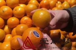 梦见生橙子是什么意思周公解梦