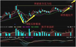 某公司准备发行股票筹集10亿资金，怎样设计发行方案