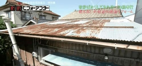 老奶奶花112万改造牛棚,和女儿分居,获日本年度最佳房屋奖,暖哭无数网友 房子 