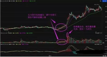 股民必知，买进股票什么时间可以挂单