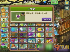 神器排名 植物大战僵尸2 这些年站在神坛的植物盘点