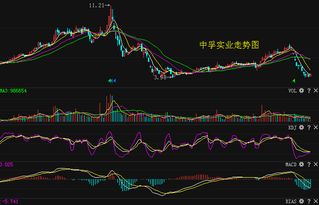 中孚实业股票是不是垃圾股，有望涨吗？各位大师