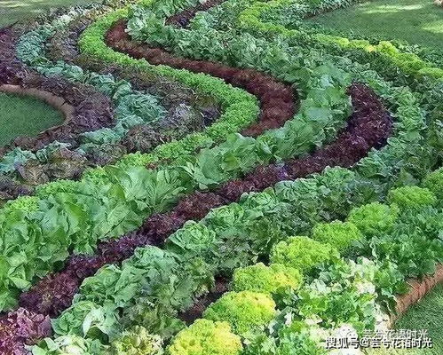 庭院设计分享 唯有那瓜果飘香的院子最让人惊喜