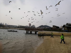 冬天大连旅游去哪好 冬天大连一日游攻略 